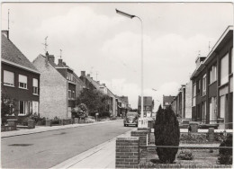 Hoevenen - St. Hubertusstraat - & Old Cars, Volkswagen - Stabroek