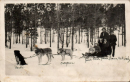 N°3959 W -carte Photo Attelage Chiens De Traineau - Spannen