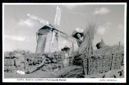 SANTA MARIA - MOINHOS - Paisagem Rural. (  Foto Nobrega )carte Postale - Açores