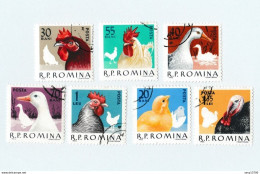 Roumanie Lot De 29 Timbres Les Volatiles De La Ferme - Canard, Poule, Dindon, Poussin, Coq, Chevaux, Chats Et Chiens - Usati