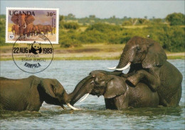 A40 438 Carte Maximum Elephant Elefant Elefante Olifant Norsu WWF - Eléphants