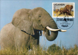 A40 439a Carte Maximum Elephant Elefant Elefante Olifant Norsu WWF - Eléphants