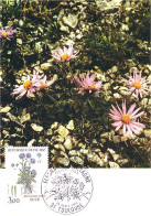 A40 291 Carte Maximum Fleur Aster - Otros & Sin Clasificación