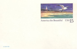 A42 112 USA Postcard Seagull And Lighthouse Mouette Et Phare - Seagulls