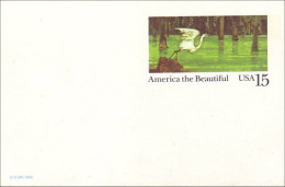 A42 113 USA Postcard Heron - Aves Gruiformes (Grullas)