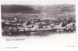 Gruss Aus BISCHOFSZELL: Ansicht Mit Bahnhofareal ~1900 - Bischofszell