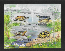 Russia 2017 MNH Fauna Of Russia - Turtles MS 8399 - Neufs