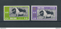 1971 HONG KONG, Michel N° 253-54 , Chinese New Year , 2 Values , MNH** - Otros & Sin Clasificación