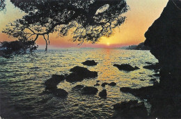 *CPM - Coucher De Soleil Sur La Méditerranée - Tegenlichtkaarten, Hold To Light