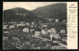 AK Bad Herrenalb, Blick Von Der Wildbader Strasse  - Bad Herrenalb