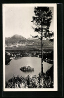 AK Letovisce Bled, Panoramablick Mit Der Insel Und Dem Gebirge Dahinter  - Slowenien