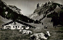 13960996 Justistal_Merligen_BE Bauernhaus - Sonstige & Ohne Zuordnung