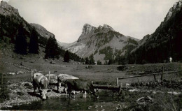 13960994 Justistal_Merligen_BE Panorama Mit Merligen - Sonstige & Ohne Zuordnung