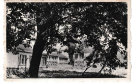 DEND  Chievres Un Coin De La Cite Parc - Chièvres