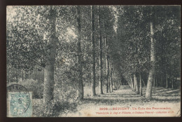 55 - REVIGNY - UN COIN DES PROMENADES - EDITION A. REP ET FILLIETTE - Revigny Sur Ornain