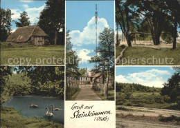 72366966 Steinkimmen Waldschaenke Am Fernsehturm Schwanenteich Landschaft Steink - Ganderkesee