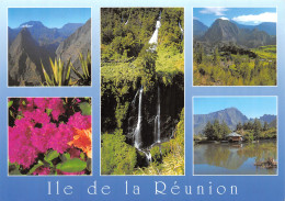 974-ILE DE LA REUNION LES CIRQUES-N°C-4346-D/0081 - Andere & Zonder Classificatie