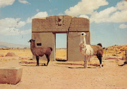 BOLIVIA PUERTA DEL SOL TIWANAKU - Bolivië