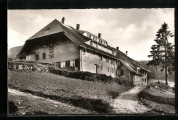 AK Todtnauberg Im Schwarzwald, Das Ferienheim Herder  - Todtnau