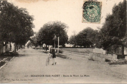 CPA 79 Deux Sèvres - BEAUVOIR Sur Niort - Route De Niort - La Mare - Beauvoir Sur Niort