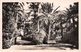 ALGERIE BISKRA JARDIN LANDON - Biskra