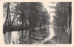 45 BEAUGENCY LES BORDS DES MAUVES - Beaugency