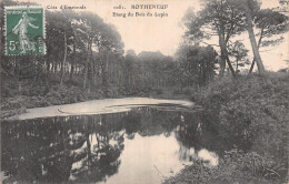 35 ROTHENEUF ETANG DU BOIS DU LUPIN - Rotheneuf