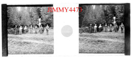 Une Grande Famille Dans Un Bois, à Identifier - Plaque De Verre En Stéréo - Taille 44 X 107 Mlls - Plaques De Verre