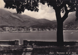 Cartolina Sapri ( Salerno ) Panorama Da S.croce - Salerno