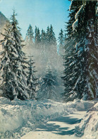 PAYSAGE DE FORET SOUS LA NEIGE  - Other & Unclassified