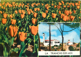 85 LA TRANCHE SUR MER - La Tranche Sur Mer