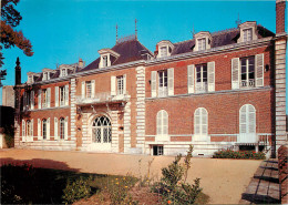 45 CHATILLON COLIGNY LE CHÂTEAU  - Chatillon Coligny