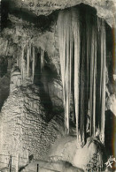 65 GROTTES DE MEDOUS GAGNERES DE BIGORRE  - Bagneres De Bigorre