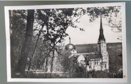 88 Domremy La Basilique Vue Du Bois Chenu Glacée - Domremy La Pucelle