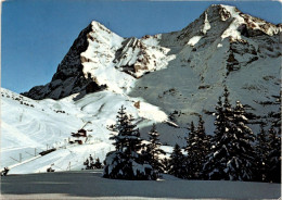 Hotel Jungfrau - Wengernalp (261) * 12. 2. 1982 - Wengen