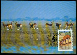 Mk Zambia Maximum Card 1987 MiNr 438 | Endangered Wildlife. WWF. Black Lechwe At Waterhole #max-0155 - Zambia (1965-...)
