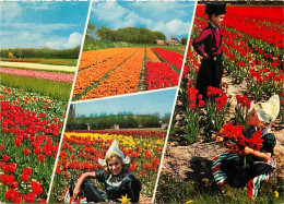 Pays-Bas - Nederland - Holland In Bloementooi - La Hollande En Parure De Fleurs - Multivues - CPM - Voir Scans Recto-Ver - Weert