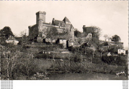 D46  BRETENOUX  Château De CASTELNAU  ..... - Bretenoux