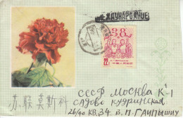 China 2002, FDC Wüstenpflanzen / China 2002, FDC Wüstenpflanzen - Brieven En Documenten