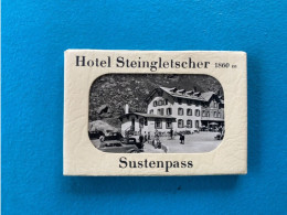 Petit Carnet - Hotel Steinsgletscher - Sustenpass - Sonstige & Ohne Zuordnung