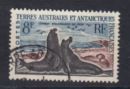 TAAF 1962 Definitive Sea Elephant 1v ** Mnh (60041) - Nuevos