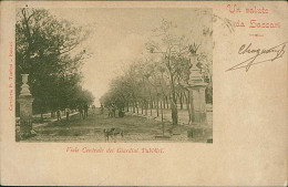 SASSARI - VIALE CENTRALE DEI GIARDINI PUBBLICI - EDIZIONE TANFANI - SPEDITA 1902 (20957) - Sassari