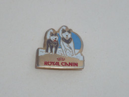 Pin's HUSKYS ROYAL CANIN - Animales