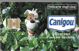 CARTE-PRIVEE-25U-HN70-SC7or-05/98-CANIGOU BUISSON-Utilisé-V°DN°C84424408-5000Ex-TBE-/Rare - 25 Units