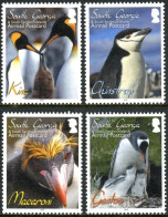 ARCTIC-ANTARCTIC, SOUTH GEORGIA 2010 PENGUINS** - Antarctische Fauna