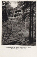 AK 214170 GERMANY - Schwalbenstein Bei Illmenau / Manebach / Thür. Wald - Ilmenau