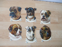 LOT DE 6 DECOUPI PORTRAIT CHIENS CHIEN  CHROMO - Animaux