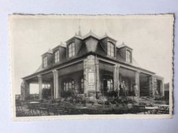 Belgique : NAMUR-CITADELLE - Hotel-Restaurant Du Panorama - 1948 - Namur