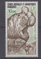 TAAF 1979 Elephant De Mer 1v  ** Mnh (60052A) - Nuevos