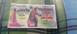 BIGLIETTO LOTTERIA DI MERANO  1989 - Lotterielose